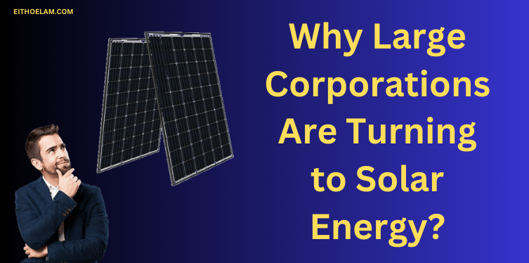 Why Large Corporations Are Turning to Solar Energy?